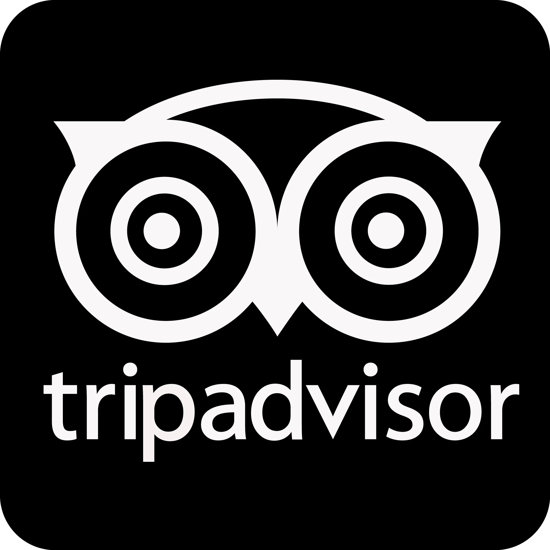 Tripadvisor Marrakech Family Tour Reviews